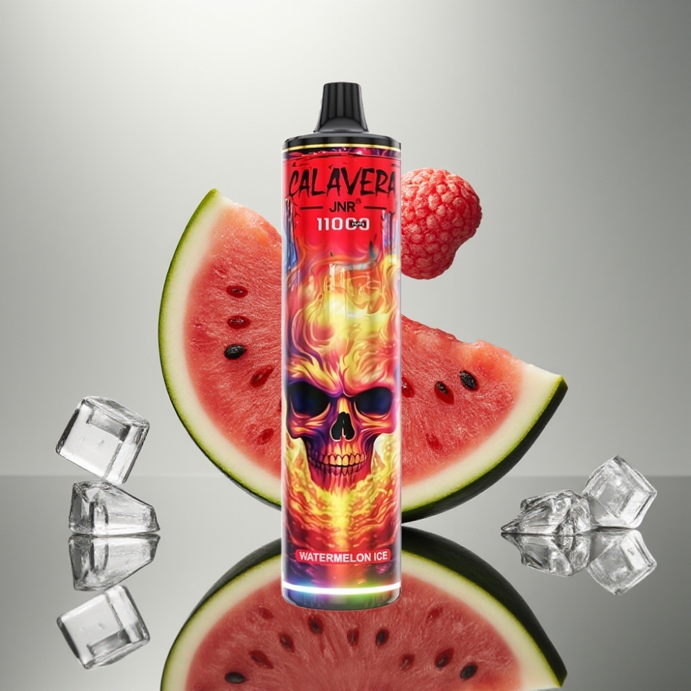 JNR Calavera 11000 Puff Mesh Coil 21ml Típus-C vape supplier Hungary