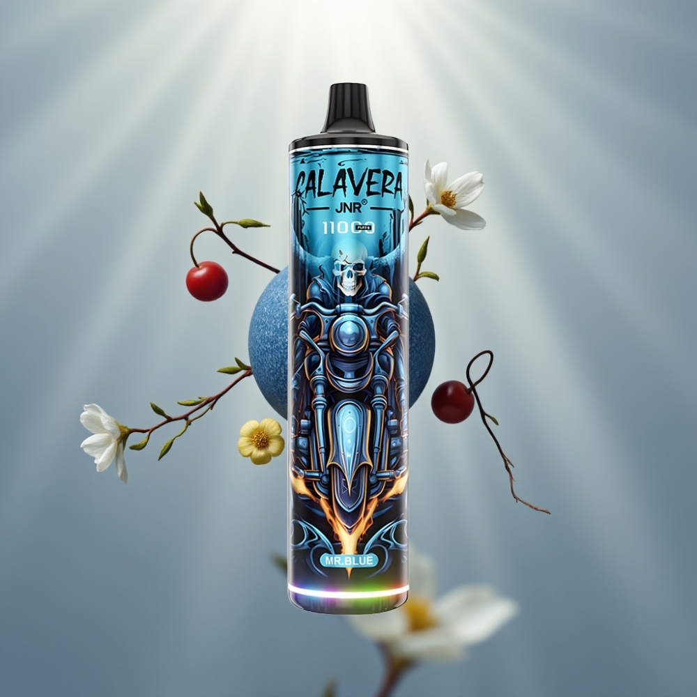 JNR Calavera 11000 Puffs 21ml 850 mAh Type-C vape supplier Hungary