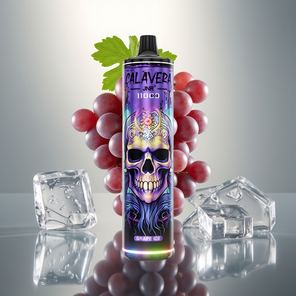 JNR Calavera 11000 Puffs Type-C Mesh 21ml vape supplier Hungary