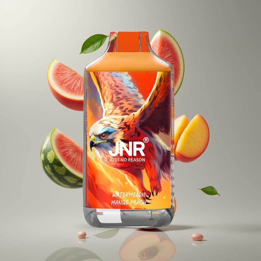 JNR Falcon 16000 Puffs 22ml Dual Mesh Coil Smart LED