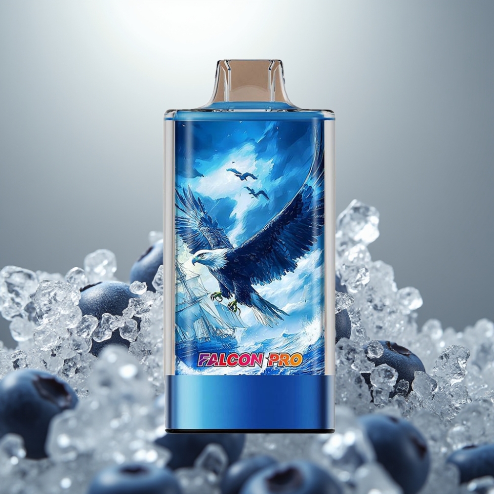 JNR Falcon Pro 28000 30ml 950mAh Kékáfonya Jég vape supplier Hungary