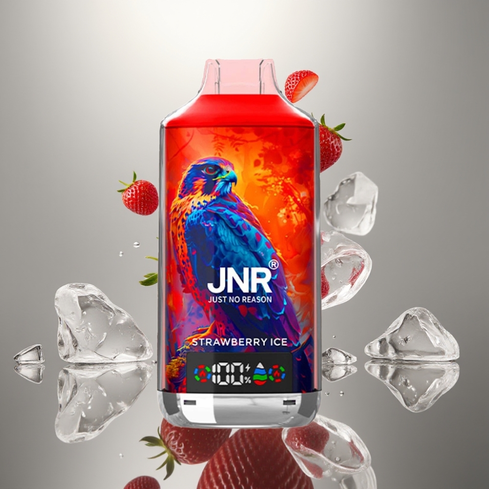 JNR Falcon X 18000 Puffs 24ml Dual Mesh Coil Type-C