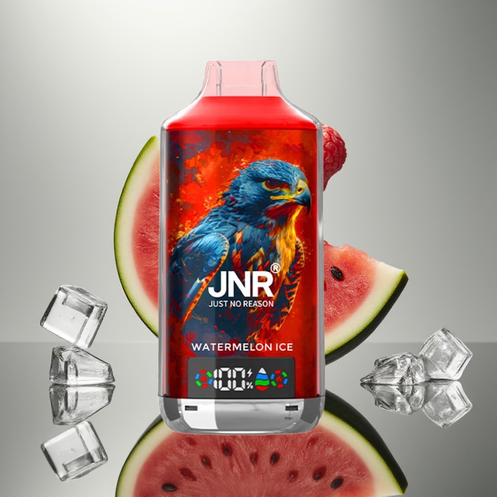 JNR Falcon X 18000 Puffs 24ml Dual Mesh Coil Type-C