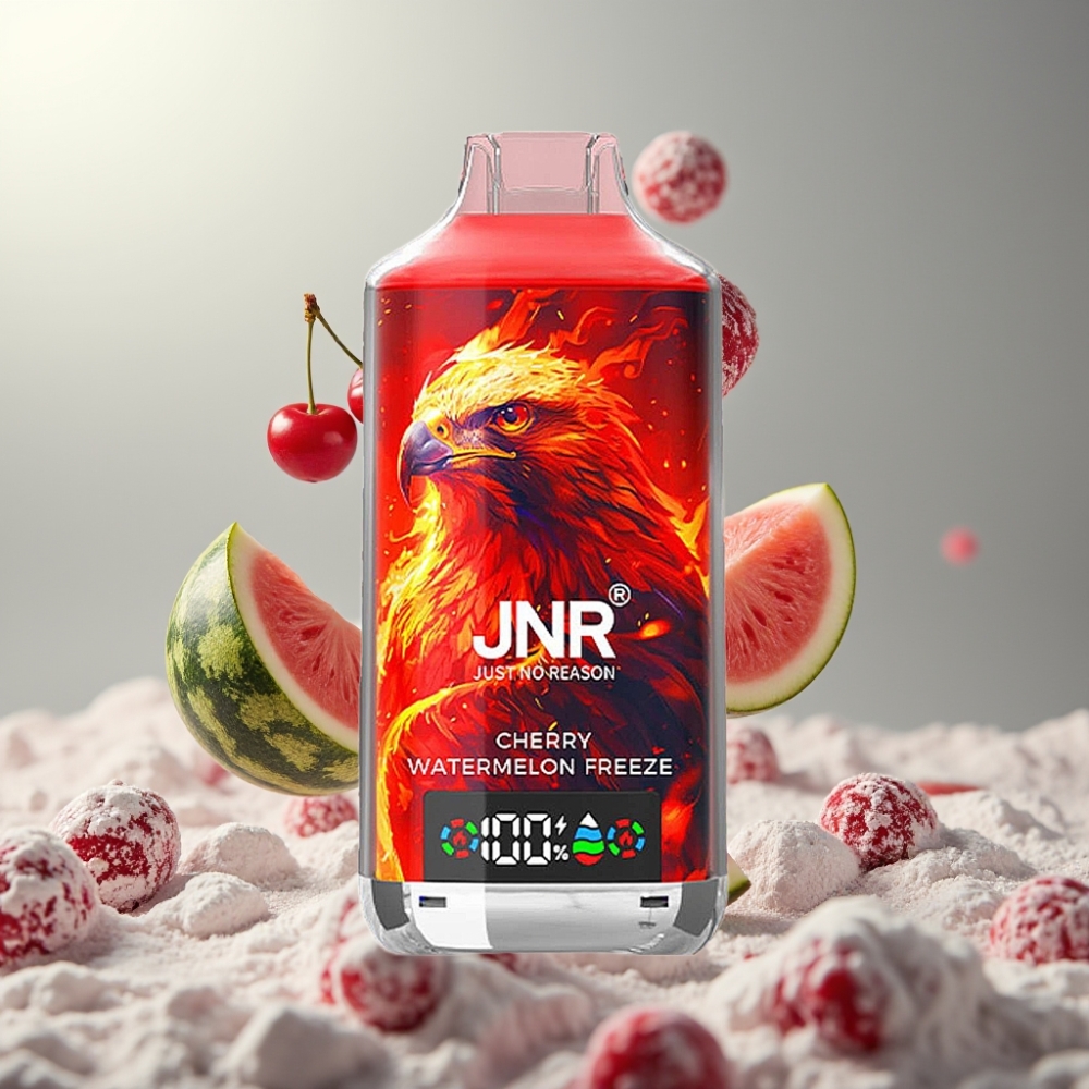 JNR Falcon X 18000 Puffs 24ml Dual Mesh Coil Type-C Quick Charge Cherry Watermelon Freeze