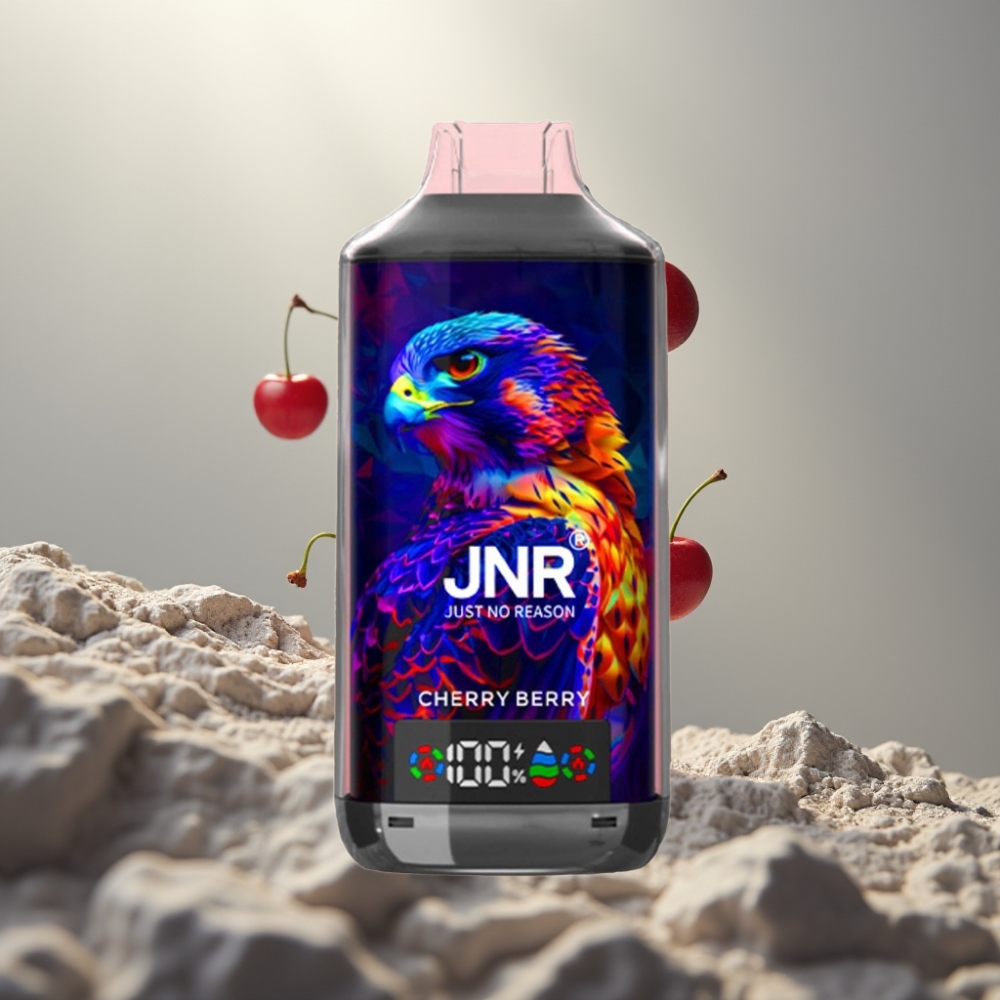 JNR Falcon X 18000 Puffs 24ml Dual Mesh Type-C Cseresznye Bogyó