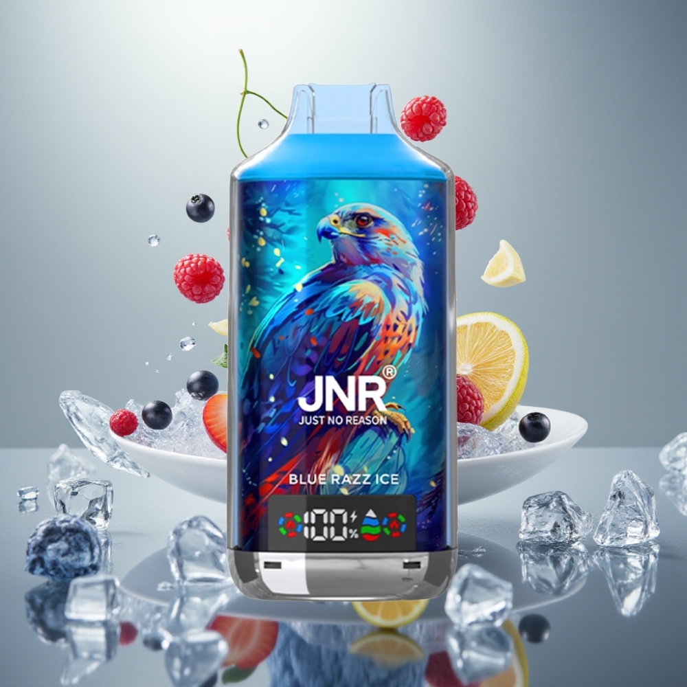 JNR Falcon X 18000 Puffs Dual Mesh 24ml Típus-C vape supplier Hungary