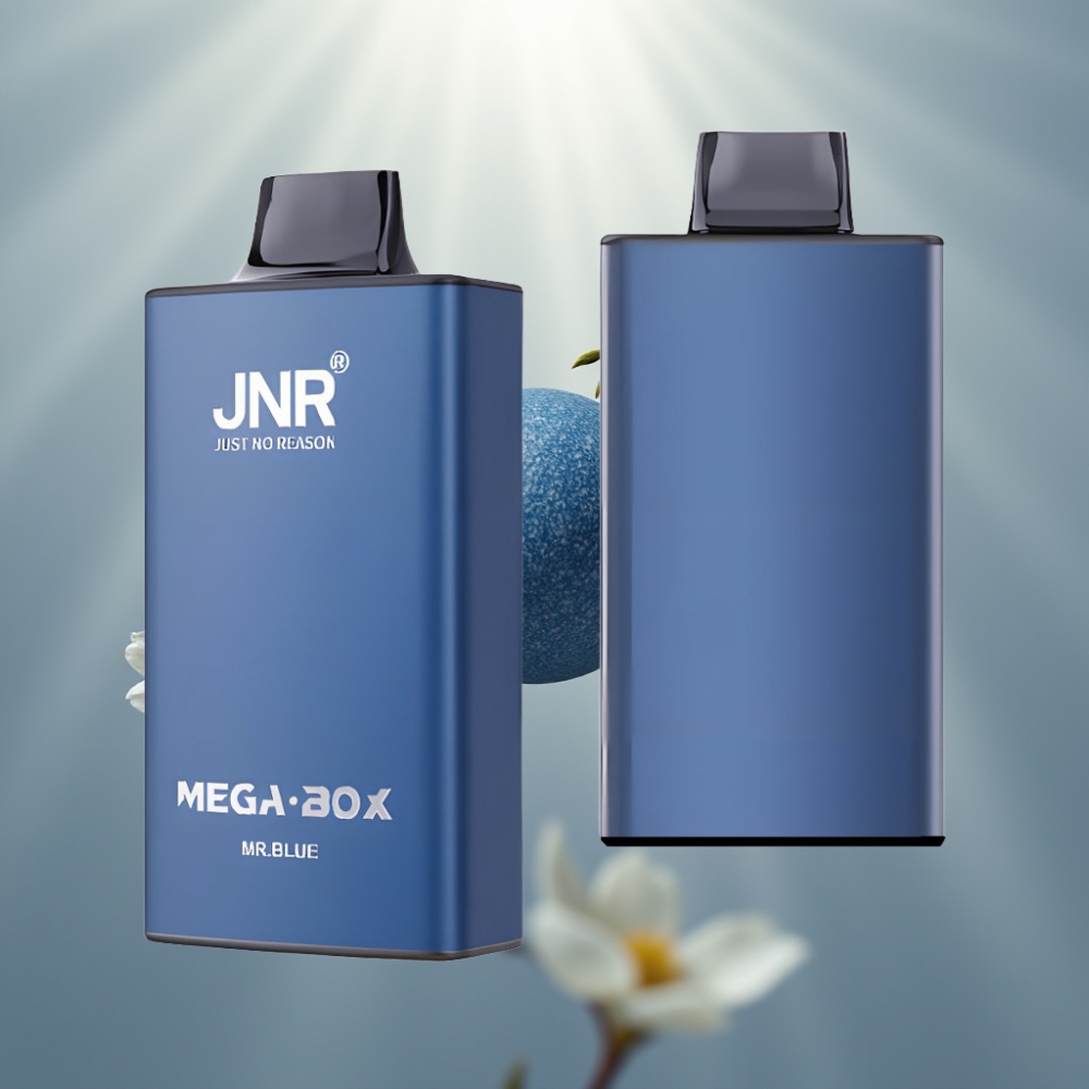 JNR Mega Box 25000 Puff Egyszerhasználatos E-cigaretta Dual Mesh Coil, Type-C
