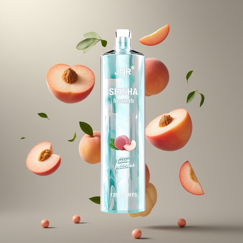 JNR Shisha Hookah 12000 Puffs 24ml 0,6 Ohm Mesh Type-C