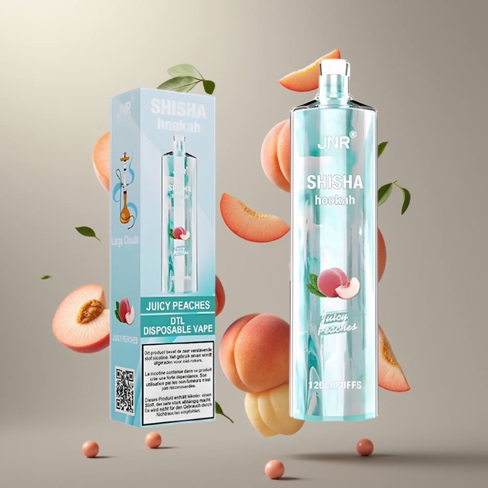JNR Shisha Hookah 12000 Puffs 24ml 0,6 Ohm Mesh Type-C