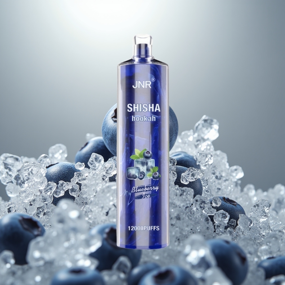 JNR Shisha Hookah 12000 Puffs 24ml 750mAh Kékáfonya Jég