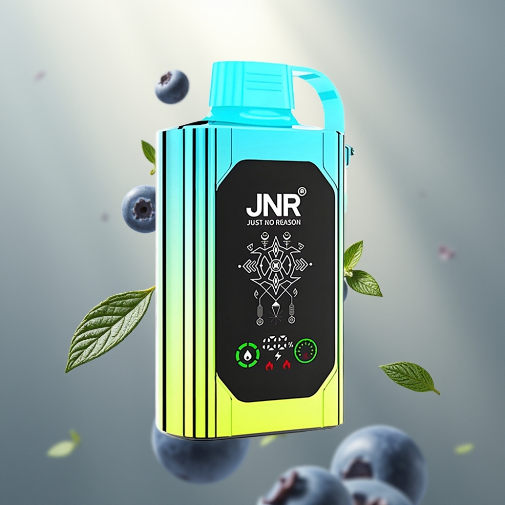 JNR Shisha Hookah Box 20500 Puff HD Kijelzős Dual Mesh Coil Type-C Blueberry Mint